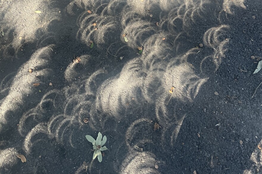 Shadows fall across a parking lot in North Central Austin.