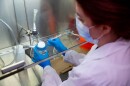 Dr. Davida Smyth is an associate professor of microbiology at Texas A&M University-San Antonio. She has been analyzing wastewater for the presence of COVID-19 since early in the pandemic.