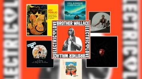 Artwork for seven albums or singles in boxes of different sizes. In the biggest square, placed in the center of the image, is a black and white photo of a man in sunglasses singing into a microphone. There are two of the next biggest square, in the top left one is a black and yellow painting of a panther draped over a guitar, in the bottom right one is a red heart over a black background. In the next biggest square is a drawing of animals over a black background. In the three smallest squares, the top middle has a snowy village, the top right has a woman in a dress laying on her side, and the bottom middle has a painting of people sitting by a gas station. 