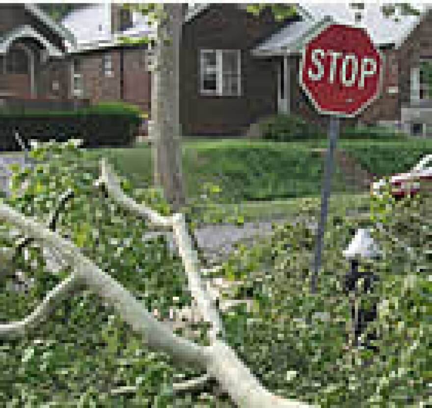 St. Louis County and city to receive $2.6 million for storm cleanup ...