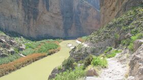 bibe_dyk-rio_cactus-2