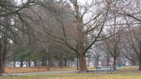 Garfield Park is just one of many locations where the city of Indianapolis has planted trees since 2020.