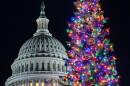 The U.S. Capitol Christmas tree, a 53-foot red fir from the Humboldt-Toiyabe National Forest in Nevada, is illuminated in Washington, Tuesday, Dec. 2, 2025.