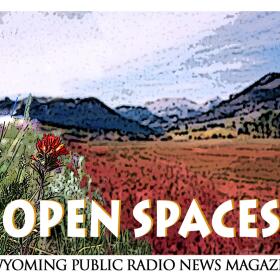 RGBsceniclogo.jpg