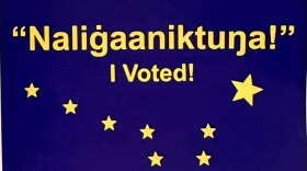 i voted