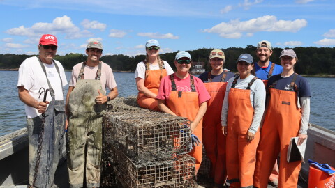 FILE: Staff from The Maritime Aquarium at Norwalk and Project Oceanology remove abandoned lobster traps and collect data in Long Island Sound on Sept. 4 alongside a local fishing partner as part of the Lobster Trap Recovery and Assessment Partnership (L-TRAP), which recently surpassed 4,000 recovered traps.