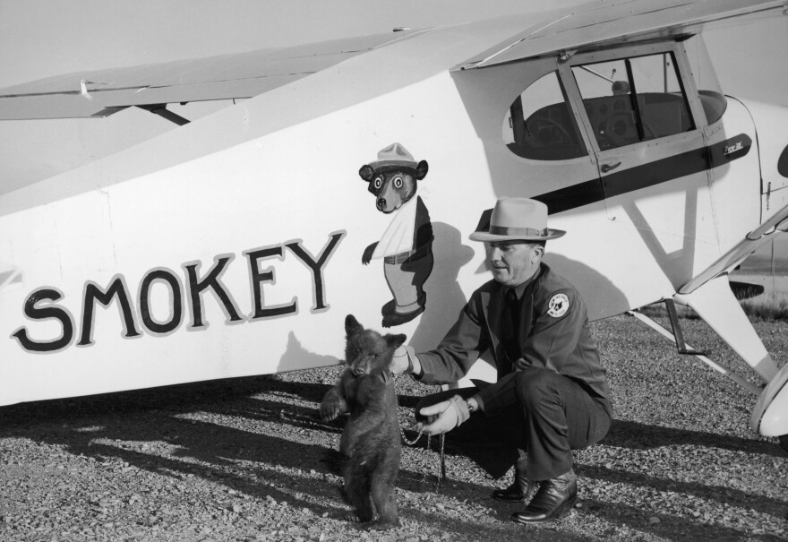 Smokey the bear cub is flown from Santa Fe, N.M., to his new home at the Washington National Zoo by New Mexico's Assistant State Game Warden Homer C. Pickens in 1950. The little bear was rescued from a forest fire and named Smokey after the fire prevention symbol of the U.S. Forest Service, which launched in 1944.