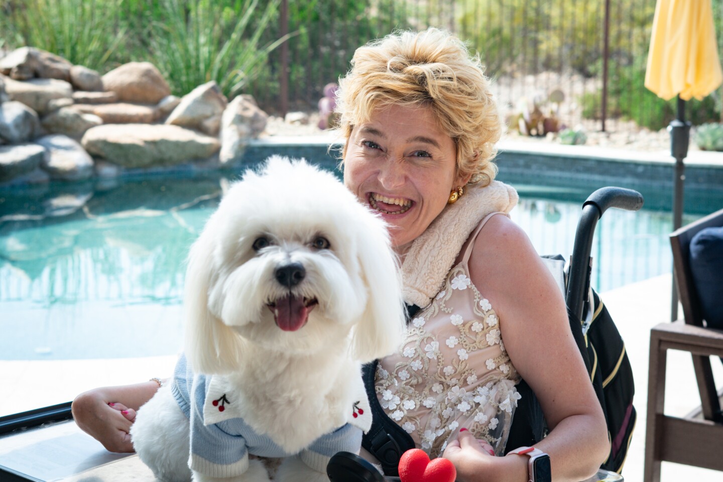 Small white dog looks at camera in blonde woman's lap in front of pool