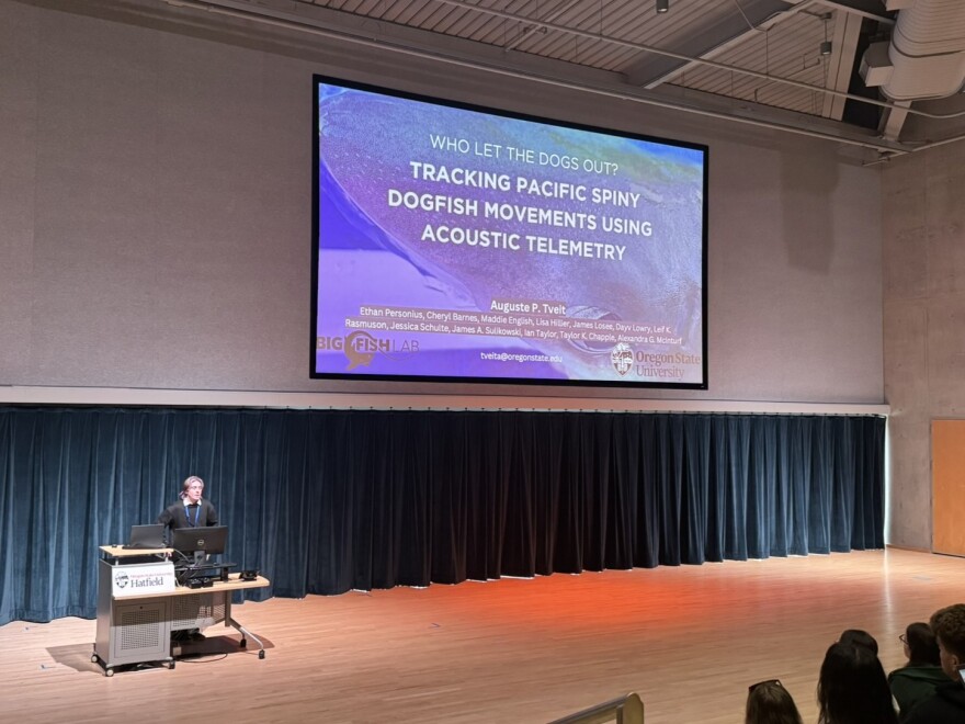 Person gives a presentation in an auditorium.