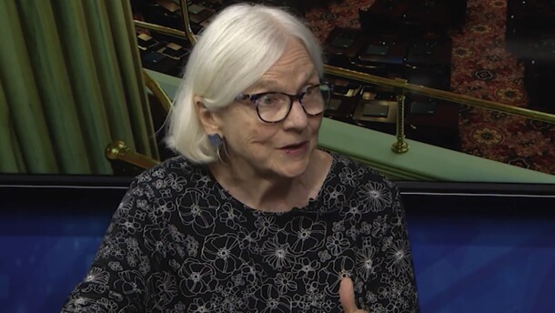 Joan McLean is a professor emerita of Politics and Government at Ohio Wesleyan University.