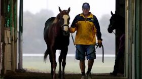 Trainer William Hall walks a horse after a morning workout in his barn at Turfway Park, Florence.