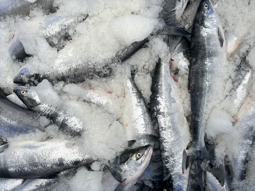 Fish on ice in a tote.