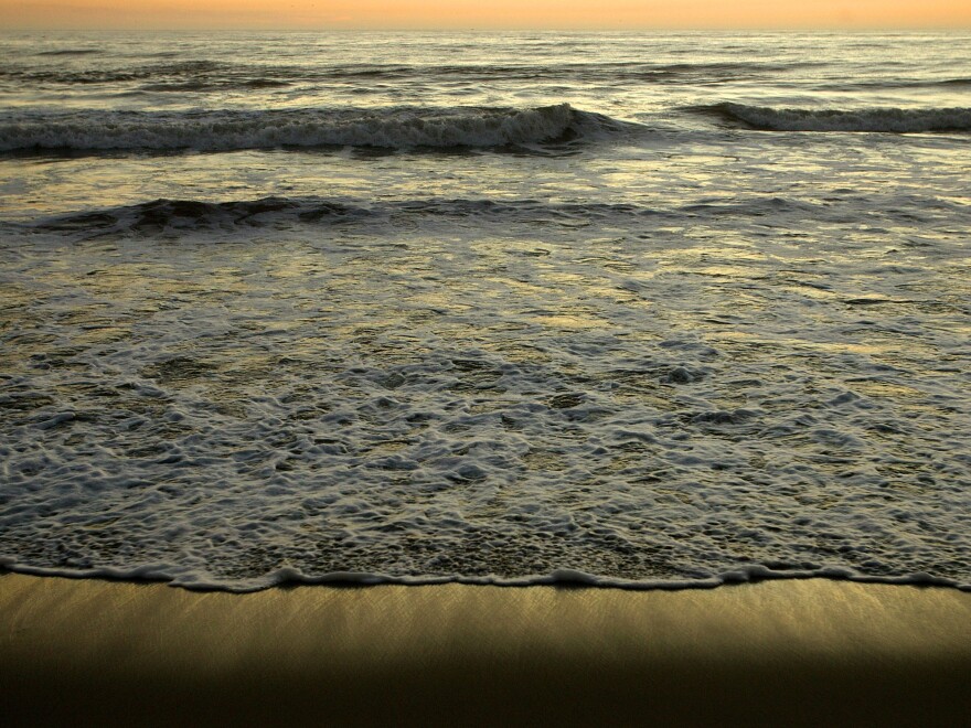 Every Wednesday for a decade, Tim Bomba has been helping people in Santa Monica, Calif., get over their fears of the ocean.