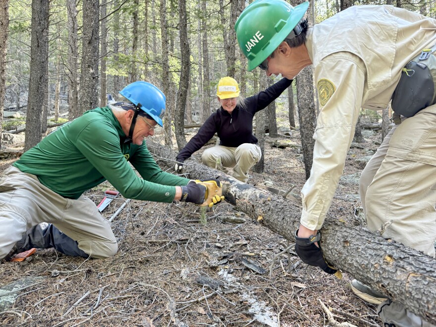 Three members of a trail crew cut a log with a small saw. 