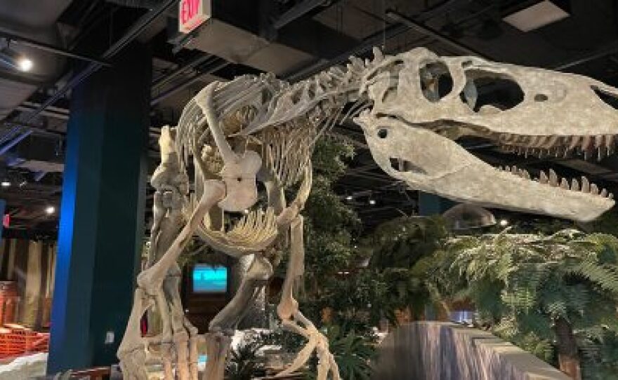 Various photos of the McWane Science Center in Birmingham: where interactive exhibits, a world-class aquarium, giant-screen IMAX cinema and a prehistoric natural history museum come to life!
