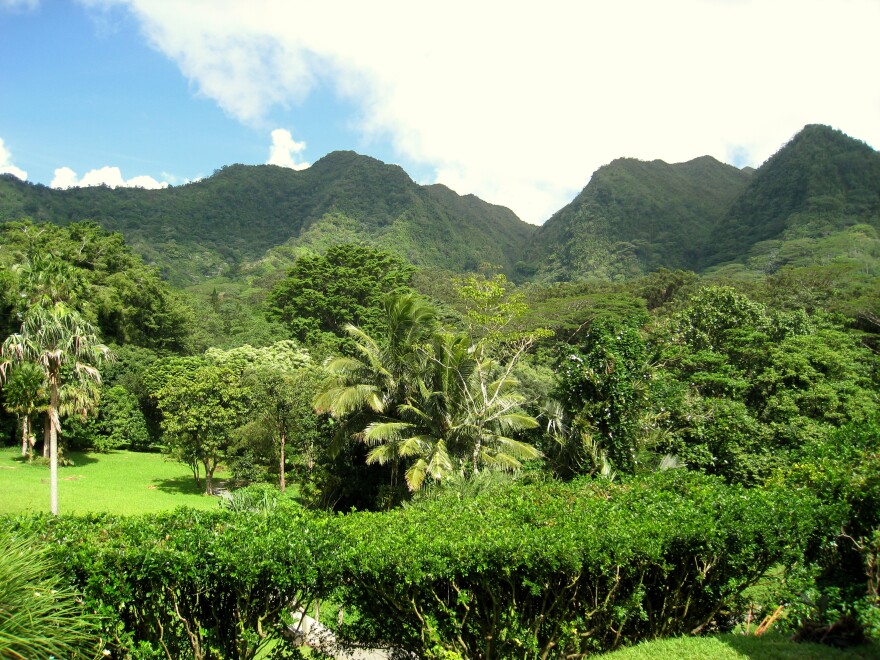 lyon_arboretum__oahu__hawaii_-_general_view.jpg