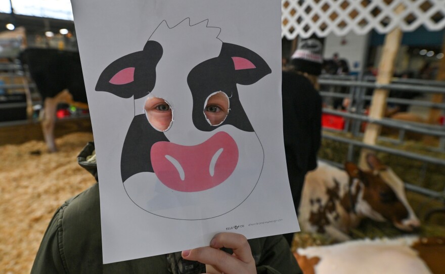 Gage Headress, 7, looks through a cow mask he made at the PA Farm Show.
