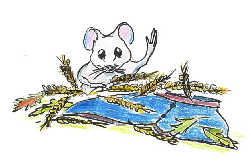 Mouse emerging from wheat.