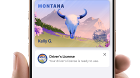 A hand holds an iPhone displaying a Montana Mobile ID in Apple Wallet. The digital ID shows a stylized landscape with mountains, flowers, and a blue bison skull, along with the name "Kelly G." A message below reads, "Driver’s License – Your driver’s license is ready to use."