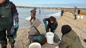 Students wearing waders and gloves, working with buckets and a net on a beach.