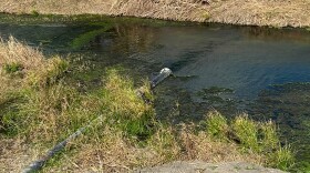 A pipe discharges liquid waste from Tesla’s lithium refinery plant into a ditch on Feb. 13 in Robstown, Texas.