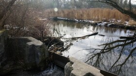 The picture shows a concrete spillway with a mill pond behind it, in a wooded area (the trees are bare since it's winter). There is muted sunlight.