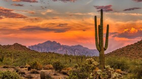 Sunset in the Sonoran Desert near Phoenix, Arizona