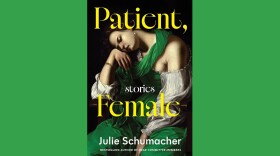 Cover of "Patient, Female" by Julie Schumacher; painting of a resting woman in a green and white dress