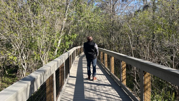 Looking down a boardwalk in a park