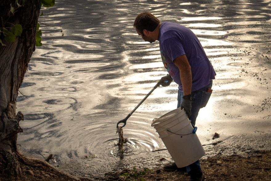 A person stands with a bucket at the edge of a pond. They're using a grabber to pick up trash from the water.