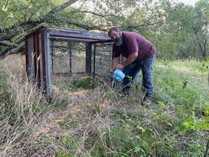 Coy Hirth of Slappy's Hog Trapping