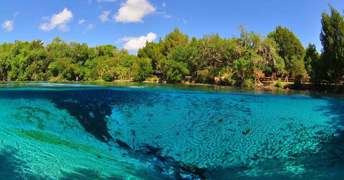 In new book, a geographer does a deep dive into springs in Florida | WLRN