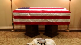 This Sunday, Dec. 2, 2018 photo, Sully, President George H.W. Bush's service dog lies in front of his casket in Houston. The 41st president died Friday at his home in Houston at 94. (Evan Sisley/Office George H.W. Bush via AP)