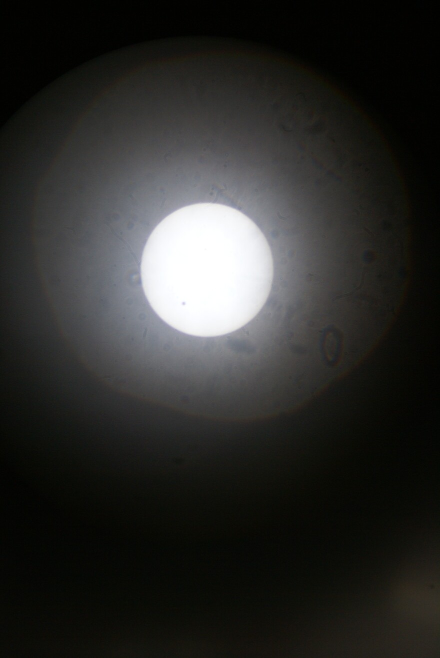 sony-dsc-28