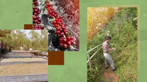 Photos of coffee beans, researchers, and farmers help produce Segara Coffee