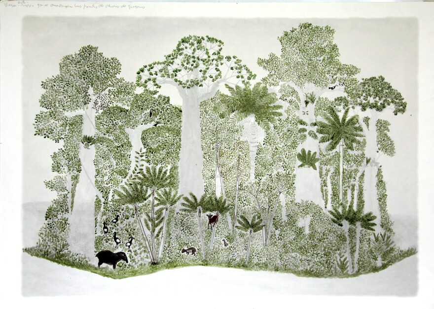 In each of Rodriguez's rain forest drawings, the vegetation and animal life is a little different, reflecting the season.<strong> </strong>