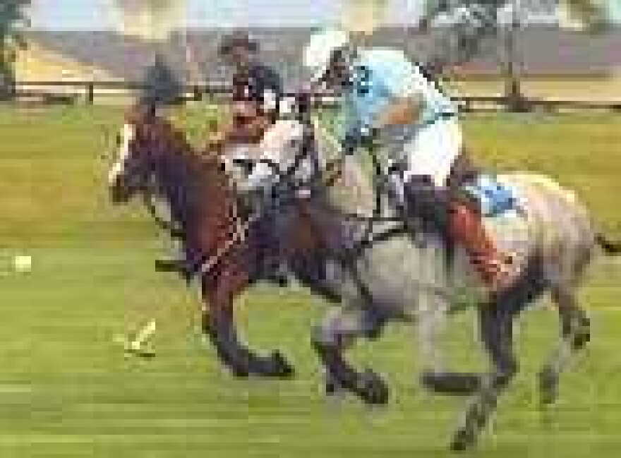 Polofest 2000