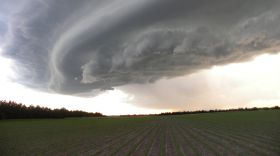 A strong El Niño weather pattern has climatologists expecting more precipitation in southern states such as Oklahoma and Texas. The climate pattern will likely mean a mild winter in the rest of the central U.S.