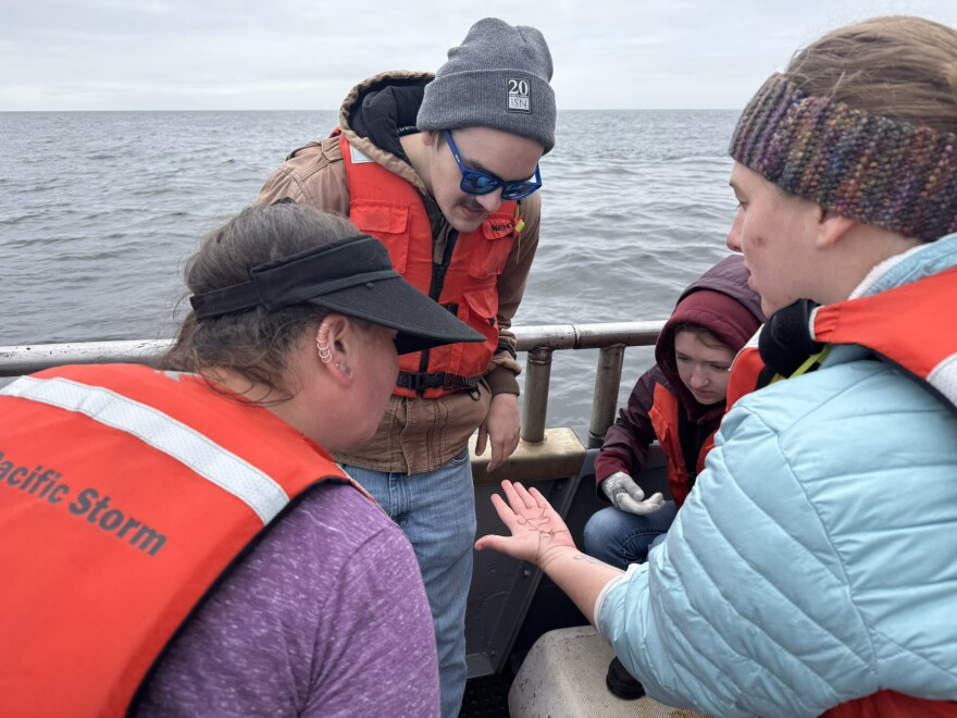 A person shows a brittle star in their hand to other people on a boat.
