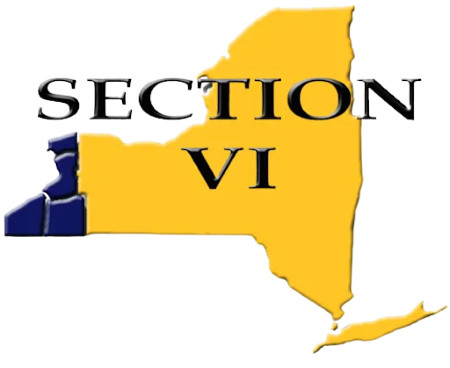 NYSPHAA Section VI logo with an outline of NYS that is filled in yellow, and the Section VI area is filled in blue.