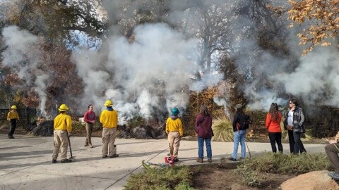 All photos courtesy of Dr. Don Hankins, All rights reserved.