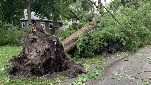 High winds and heavy rain led to downed trees, power outages and flooded streets across Bloomington-Normal.