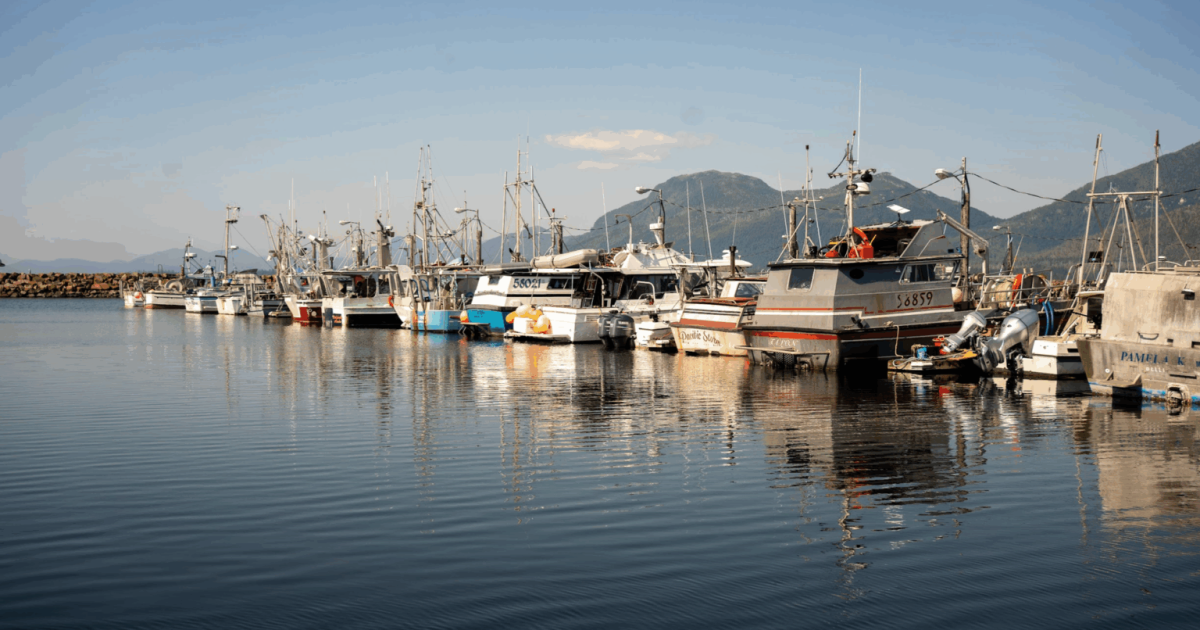 "The salmon people’: How Alaska’s only Native reservation saved its fishing culture