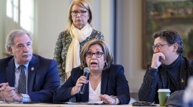 State Representative Anabel Figueroa speaks during a legislative roundtable discussion on what can be done to get more funding for homelessness services.