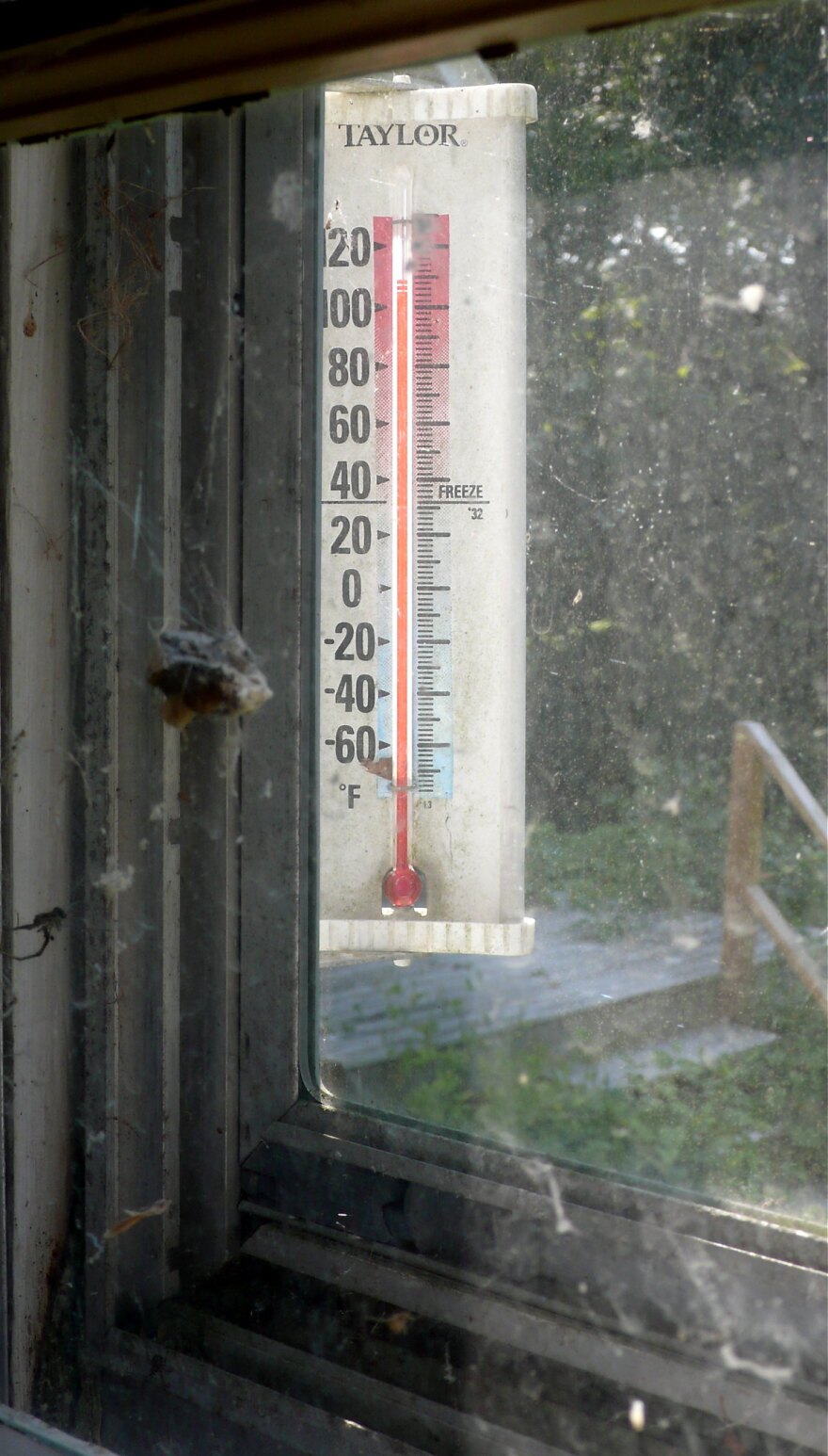  After a pretty mild start to the summer, high temperatures in the 90s have returned to eastern North Carolina and are forecast for at least the next week, with heat indexes expected to be 100-110 this weekend through the 4th of July.