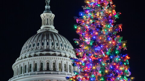 The U.S. Capitol Christmas tree, a 53-foot red fir from the Humboldt-Toiyabe National Forest in Nevada, is illuminated in Washington, Tuesday, Dec. 2, 2025.