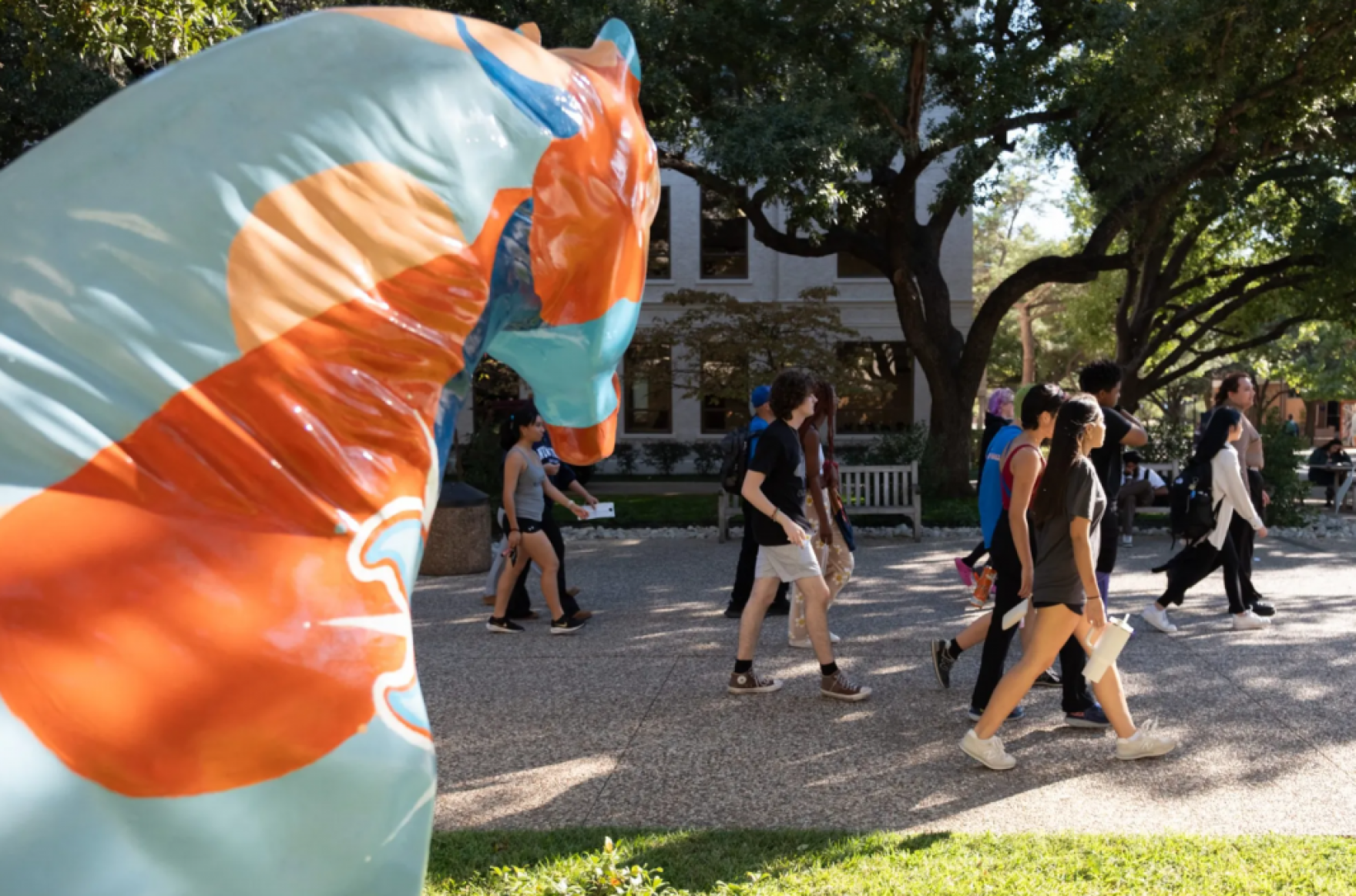 Fwr Texas college application fees waived this week | HPPR