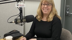Dr. Lisa Snow, outreach coordinator for Lurie Children's Hospital, collects data for the Illinois Violent Death Reporting System. She talked to WCBU about what's happening behind the numbers.