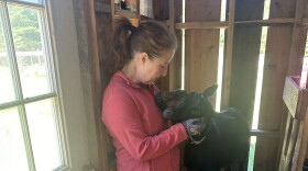 A woman standing with her goat in a barn