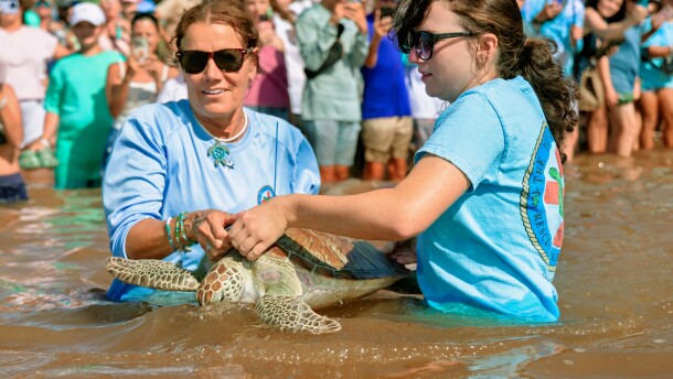 Bette Zirkelbach, left, general manager of The Turtle Hospital, and Jory Geib, a rehabilitation specialist at The Turtle Hospital, release Girl Power, a rehabilitated juvenile green sea turtle, Friday, July 10, 2026, at Sombrero Beach in Marathon, Florida Keys. Girl Power was fitted with a satellite transmitter before entering the Atlantic Ocean as The Turtle Hospital's official competitor in Sea Turtle Conservancy's Tour de Turtles program.